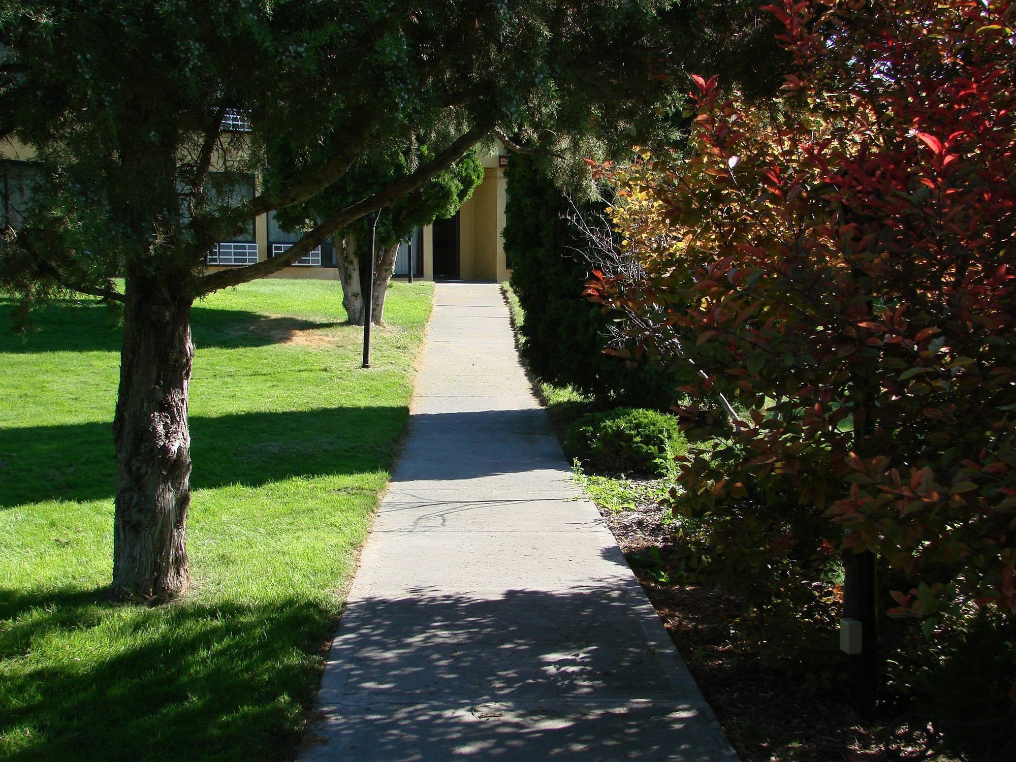 Econo Lodge Near Snake River Idaho Falls Eksteriør billede